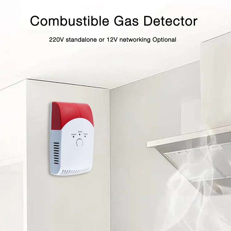 OEM ODM Home Kitchen 12V LPG Natural Gas Leakage Alarm Sensor Methane Gas Detector