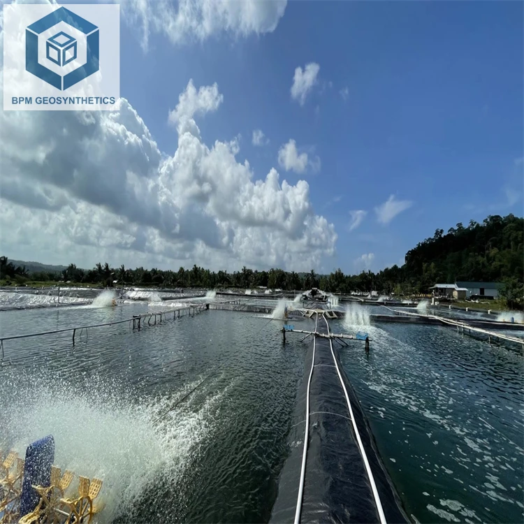 Pond Lining Sheets Pond Liner for Aquaculture Shrimp in Ecuador