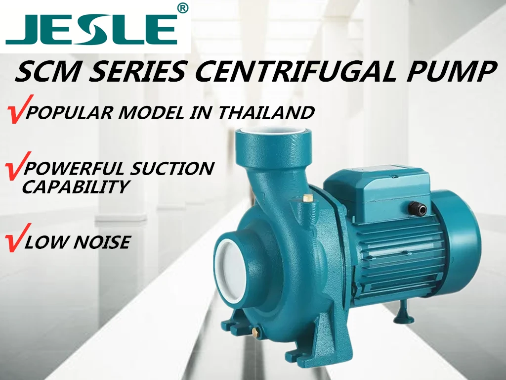 3Inch Thread Port Outlet 3hp 2hp 1.5hp Power SCM80 Big Capacity Horizontal Electric Centrifugal Standard Industrial Water Pump