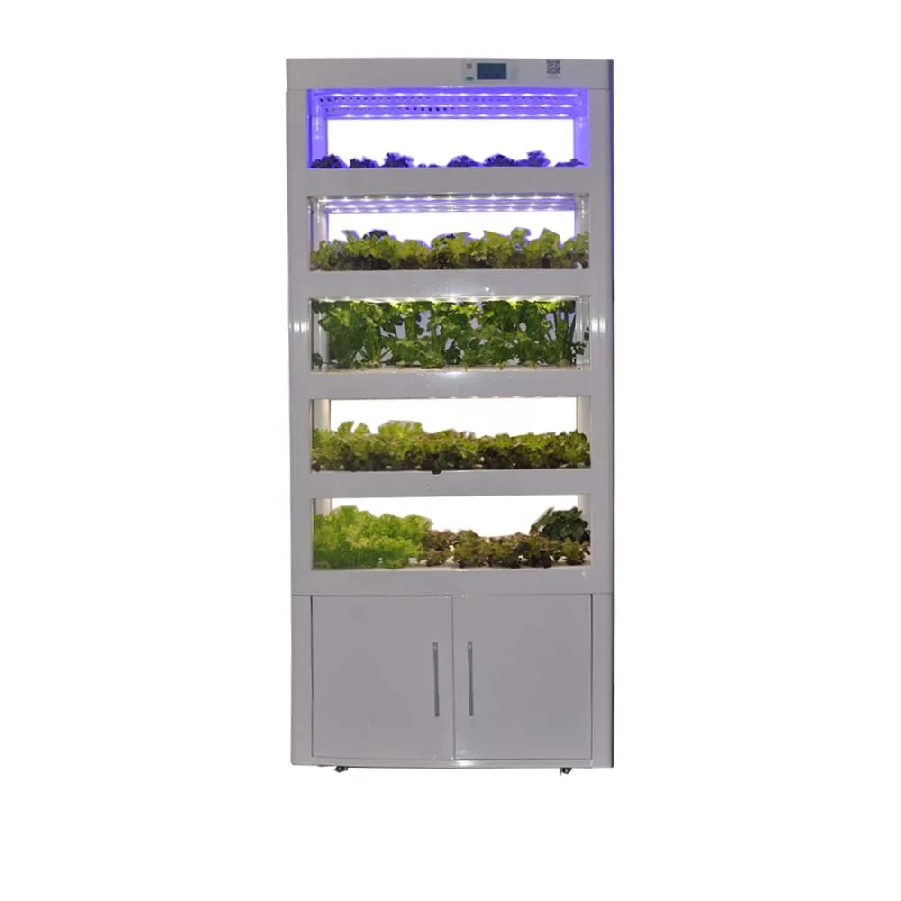 Indoor spinach growing/seedling hydroponic system with vertical grow box