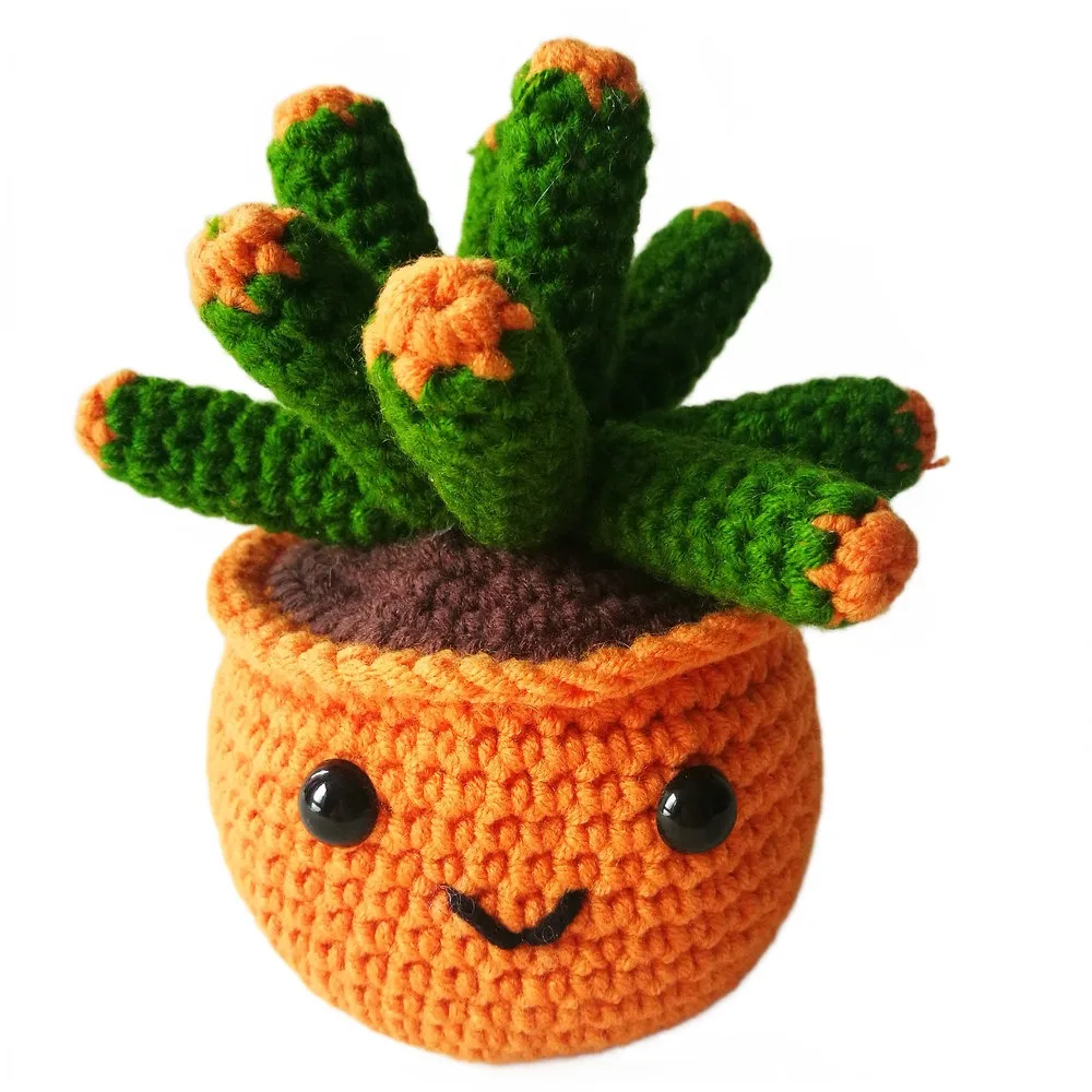 Crochet Kit for Beginners Crochet Amigurumi Succulent Plant  DIY Craft Kit Kawaii Plant