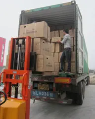 OEM high quality bmx bike freestyle 16 inch mini BMX bike  bicycle street freestyle BMX