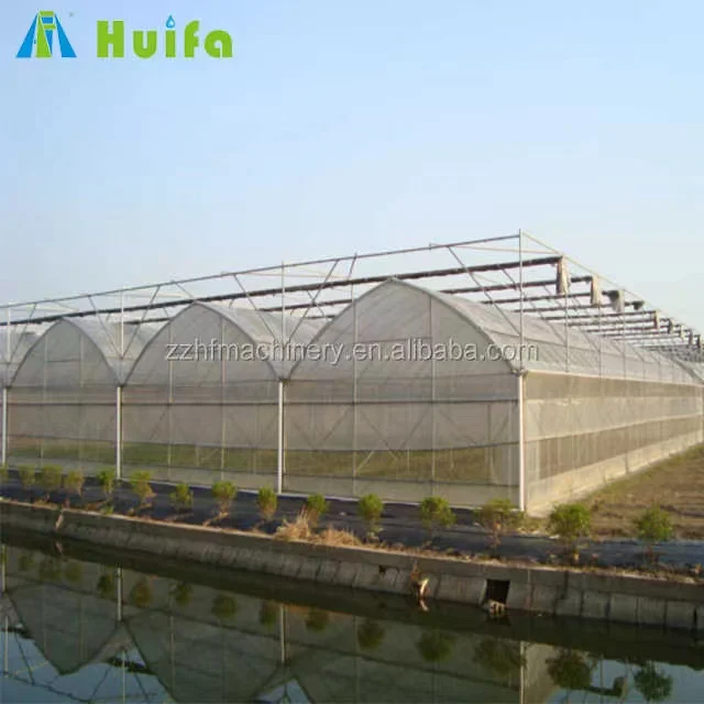 Multispan Plastic Film Greenhouse For Tomato Cucumber Watermelon Vegetable Growing