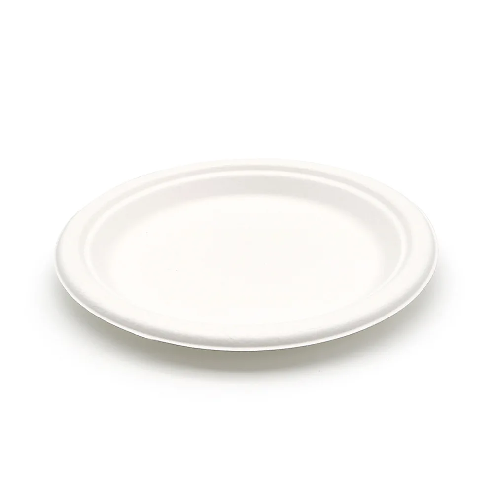 8 inch Plate Bagass Fat Dinner Plates Round Disposable Plates Round