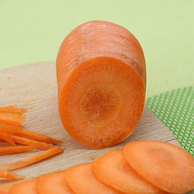 Shandong Fresh Carrot Cheap Price Chinese Fresh Carrots For Export Nutritious and Tasty China Fresh Vegetables