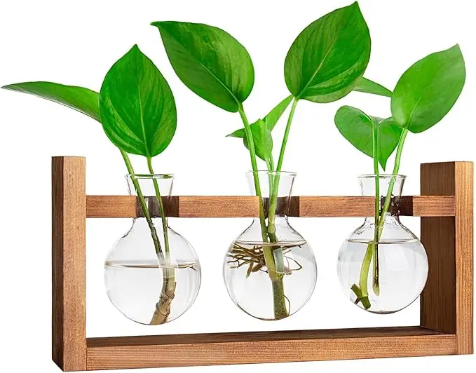 Hydroponic Glass Vase Wood and Bamboo Desktop Propagation Station for Plants and Bulbs Art Deco Home Decor Table Shelves