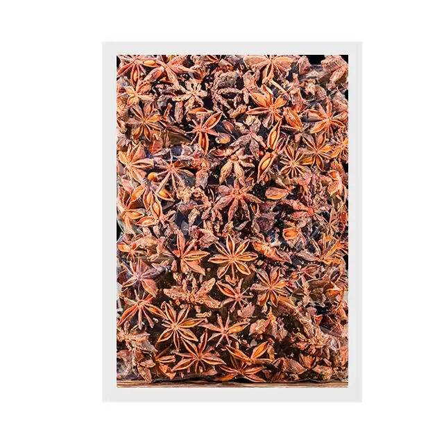 Wholesale Origin Direct Selling Natural Color Dried Star Anise for Food Cooking Best Quality Dried Star Anise 100g/bag