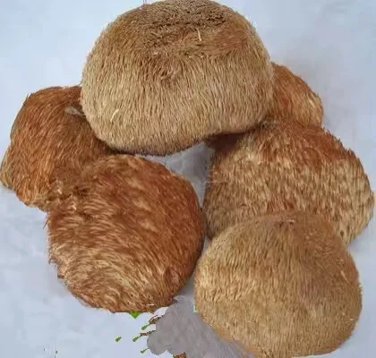 
Good quality Hericium Erinaceum Extract Fruiting Body + Mycelium 2% Total terpene by UV-VIS, Lions Mane Extract, ethanol extract 