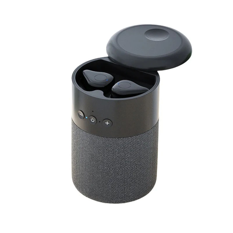 Manufacturer selling B20 Wireless Speaker With Tws Earphones 2 In 1 Wireless Smart Small Audio Speak Auriculares