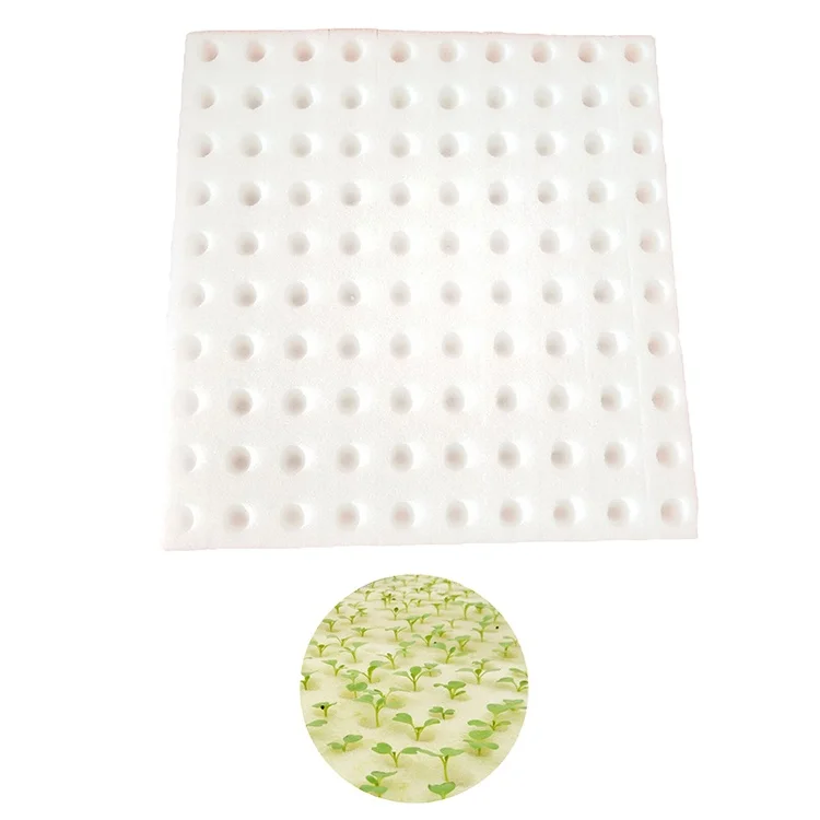 Factory Direct Selling Customized Size High Quality  Round Hole Plant Seed Cube Sponge foam seedling trays