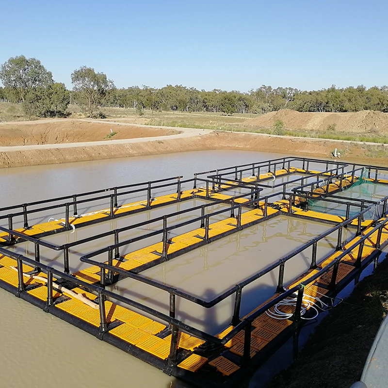 Floating fishing cage HDPE fish aquaculture cage