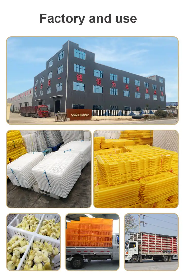 poultry factory and  usage