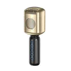 Wholesale Professional Wireless Handheld Golden Mic All-in-one Mic Music Player Karaoke Mic Performance Microphone For KTV Party