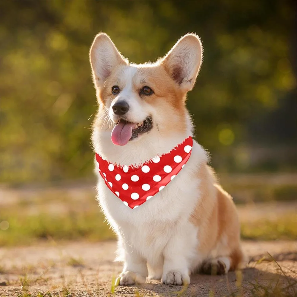 Qiqu Pet supplies New DesignerDog Bandanas Triangle Pet Scarf Thin Chiffon Fabric Bandanas for dogs Polka Dot Modern Vintage