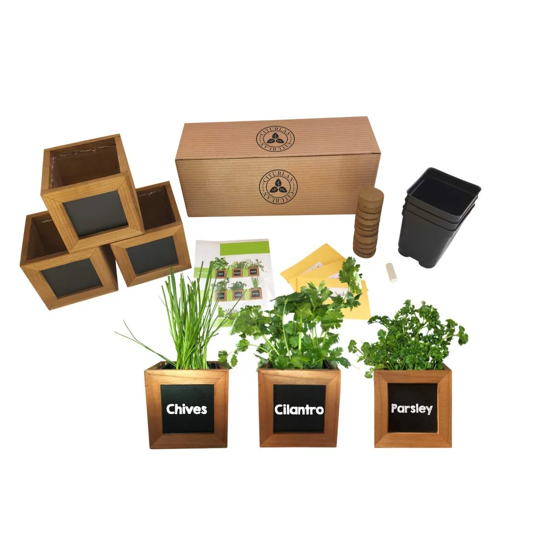 Indoor Diy Kitchen Small Plant Herb Growing Garden Starter Kit without Seed