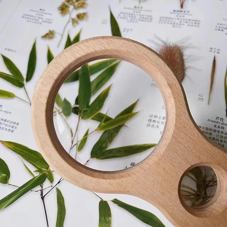 Wholesale wooden magnifying glass custom size gardening supplies insect observation tool
