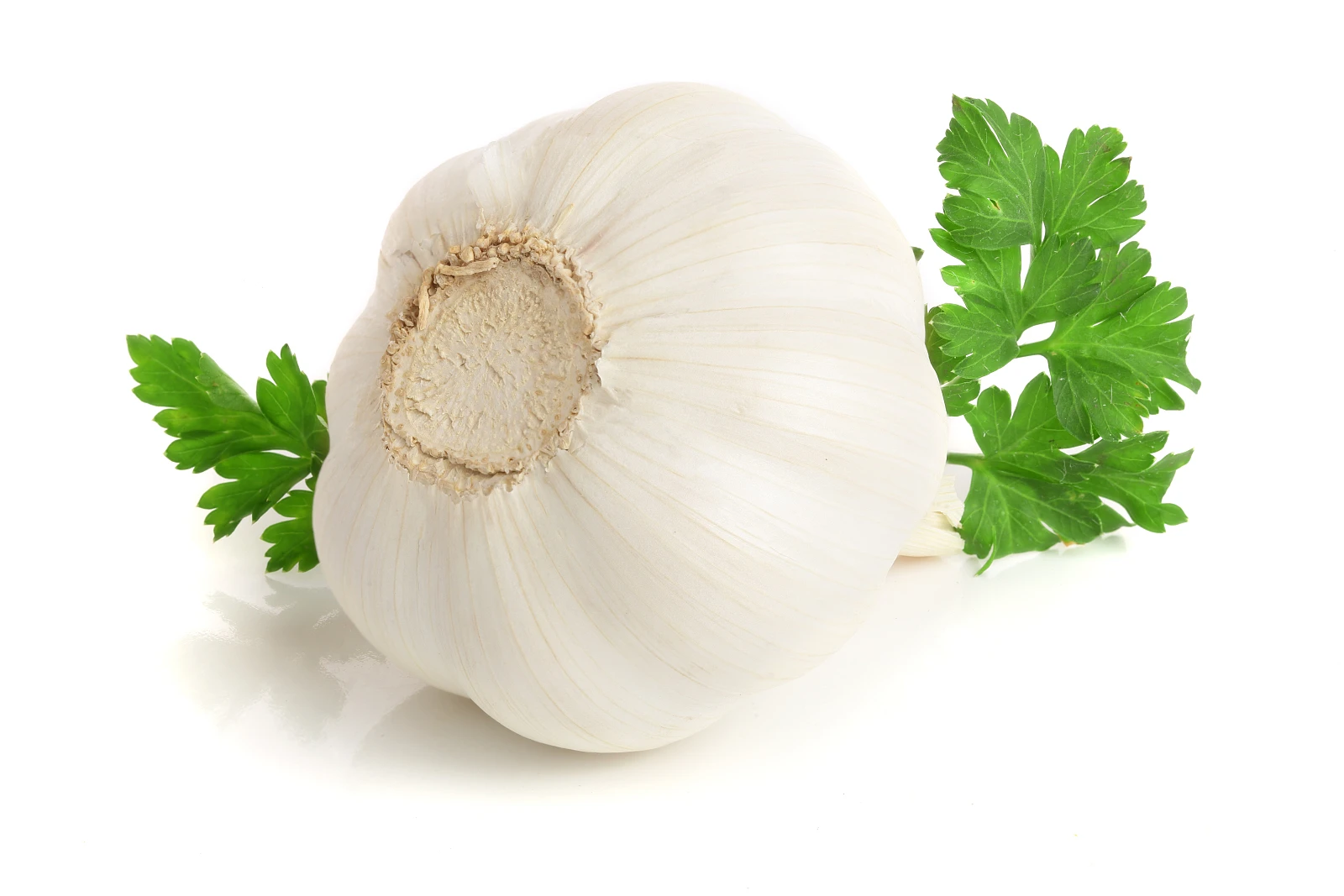 Wholesale Fresh Garlic Low Price Are Fruits and Vegetables Can Be Used As Seeds