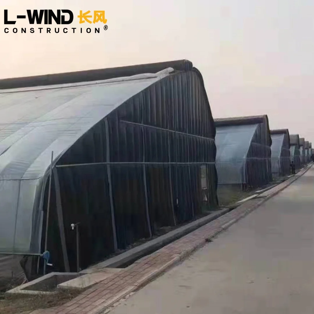 Full Steel Oval Pipe Greenhouse for Flowers Tomato Greenhouse Kit Agricultural Greenhouse Solar Green House