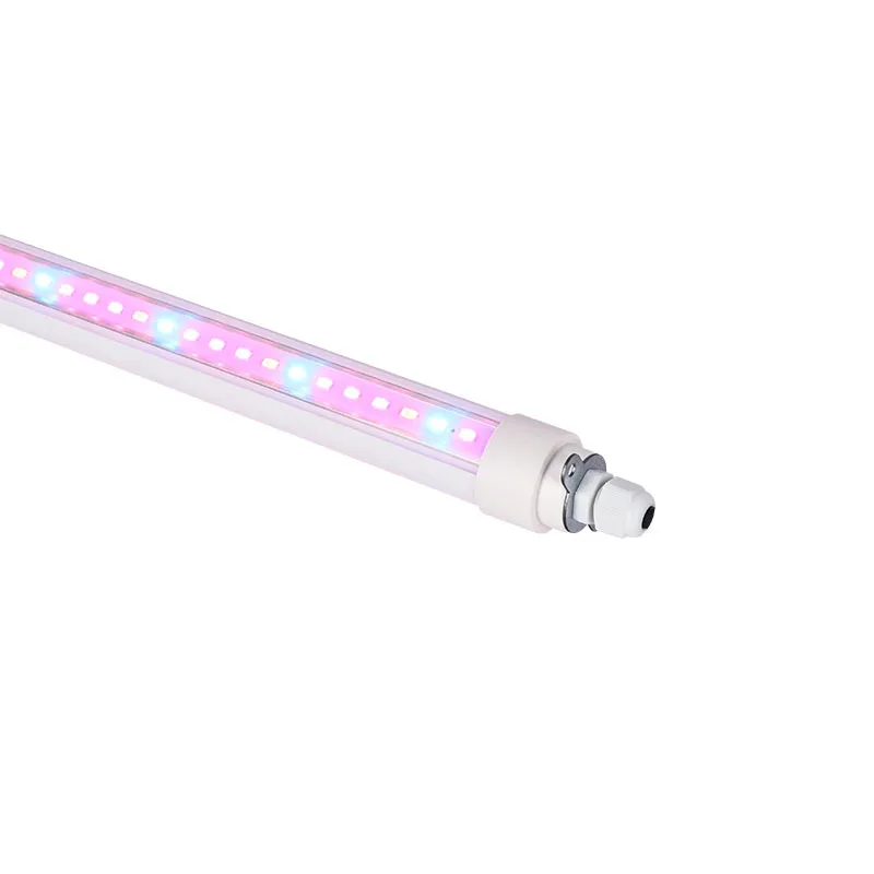 100 Watts LED Grow Full Spectrum Light For Indoor Vertical Farming Tomato Cucumber