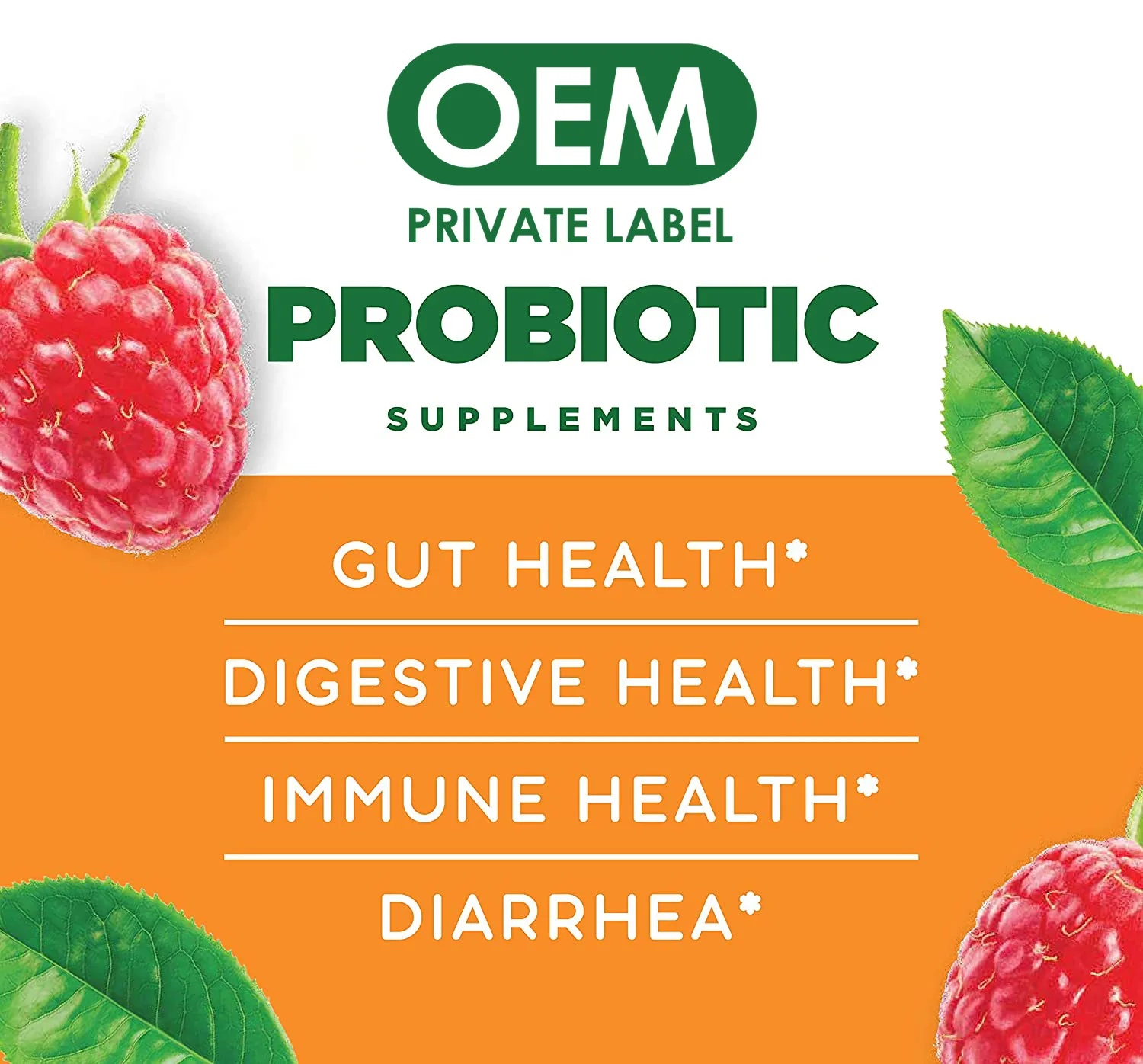 Private Label Vegan Probiotics Gummies Gut Digestive Health Gummy for Women Men