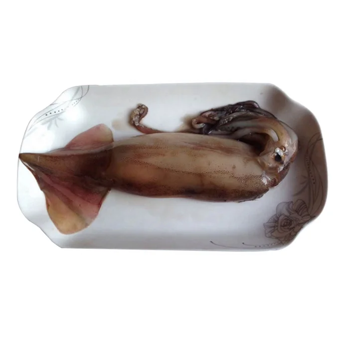 The best price Whole indonesian frozen squid