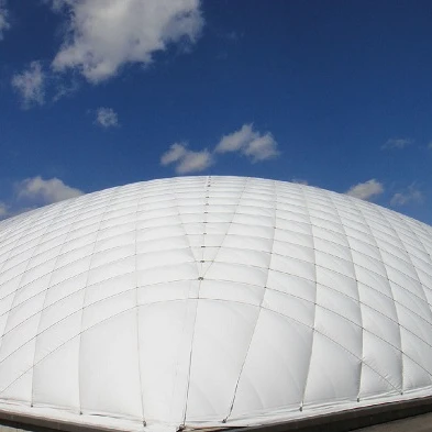 Customized industrial biogas holding tank/gas cover/gas holder in biogas plant