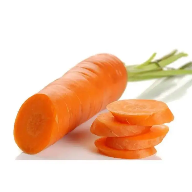 Good Taste china gansu import fresh carrots new  harvest carrot
