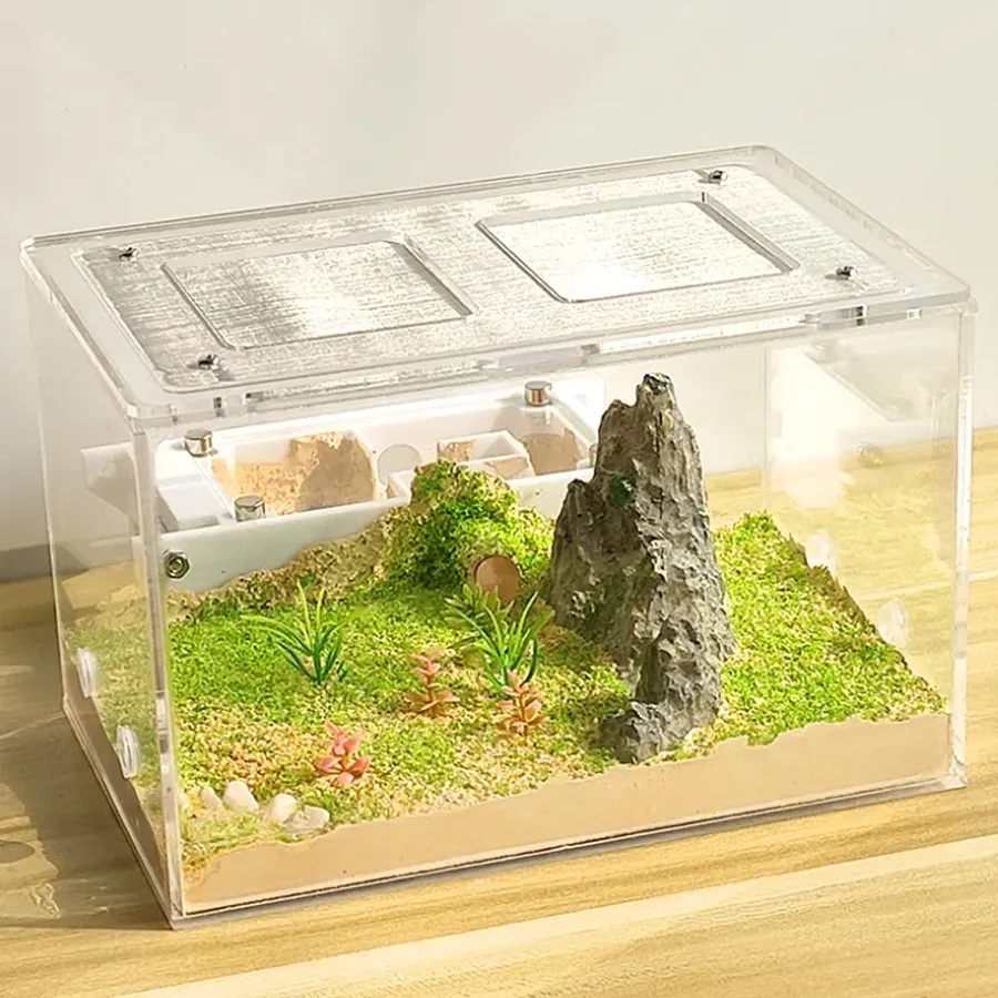 Custom transparent Acrylic Reptile Lizard Terrarium Cage Ant Feeding Box with Mesh Grid Lid for sale