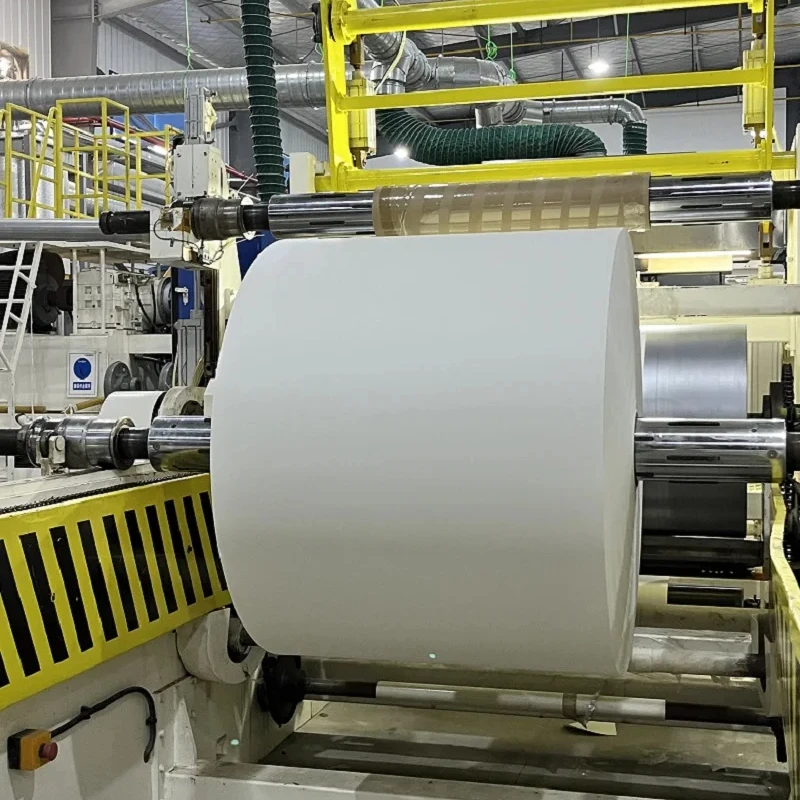 Factory DIrect Sell PLA/PE Coated Paper Rolls Raw Material for Paper Cups