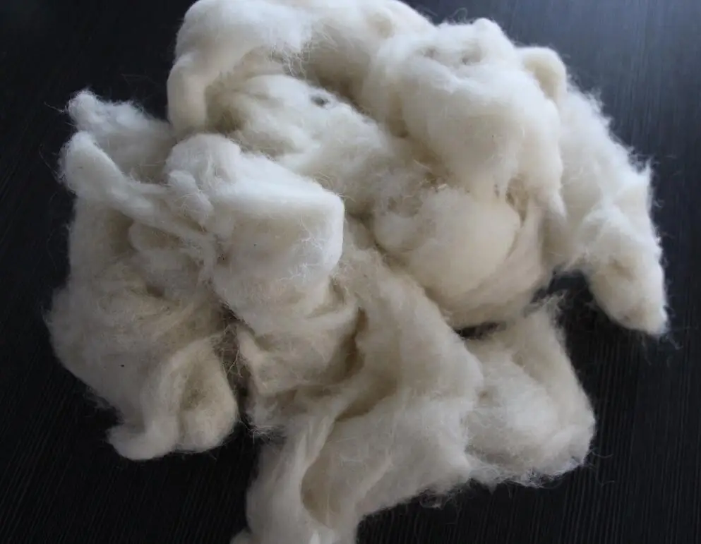 Unwashed and Carded Chinese Sheep Wool Waste used for  felt