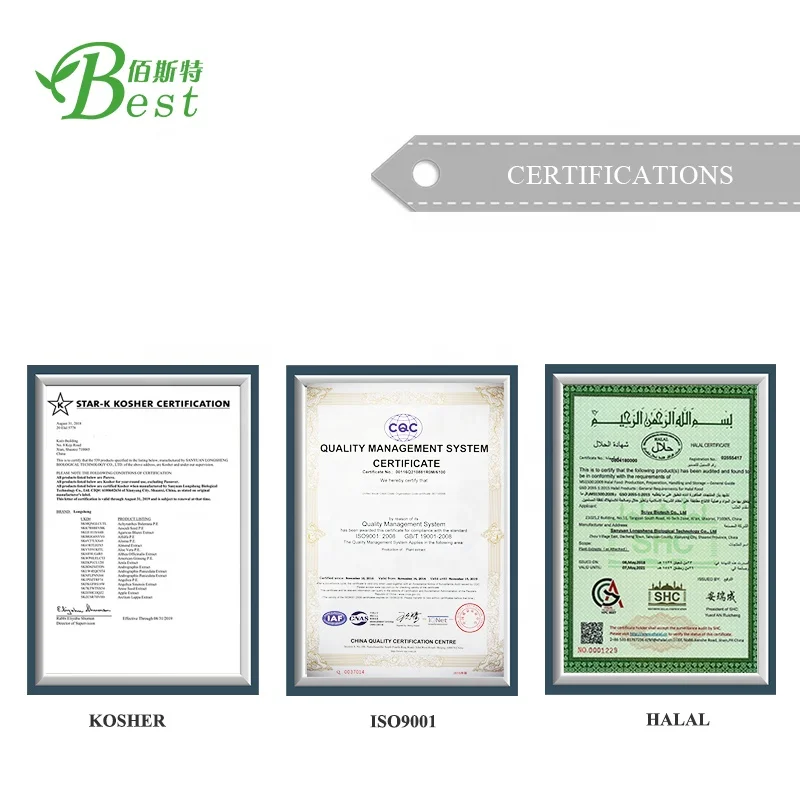 100% Natural Lemon Juice Powder/flavoured Instant Drink Powder/lemon Concentrate Powder