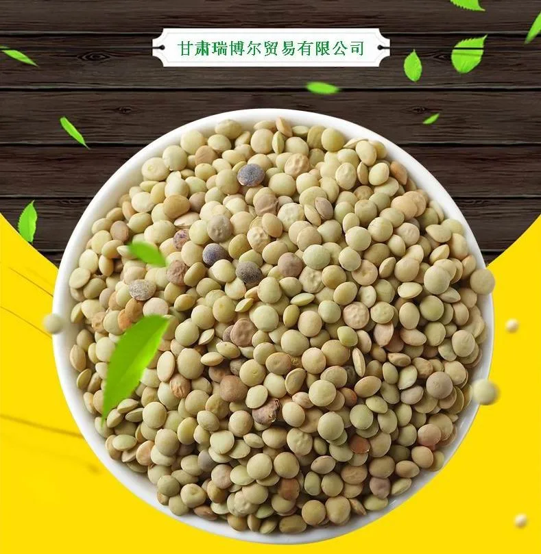 
Natural growth Chinese lentils 15% moisture bulk dried lentils 
