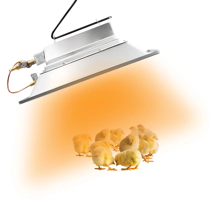 Wall Mounted NG/LPG Gas Chick Piglets Heater Manual Brooder Heating System for Chicken House