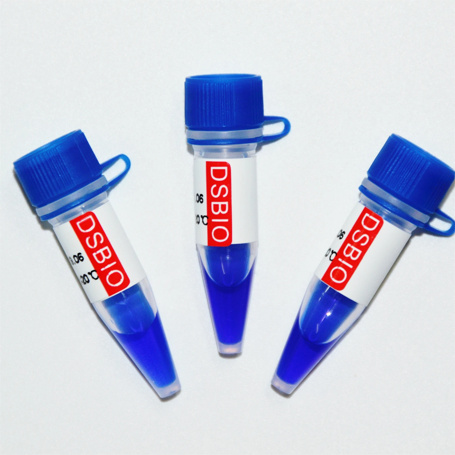 GDSBIO Marker 2, DNA ladder, OEM, 100bp to 1200 bp M1091/M1092