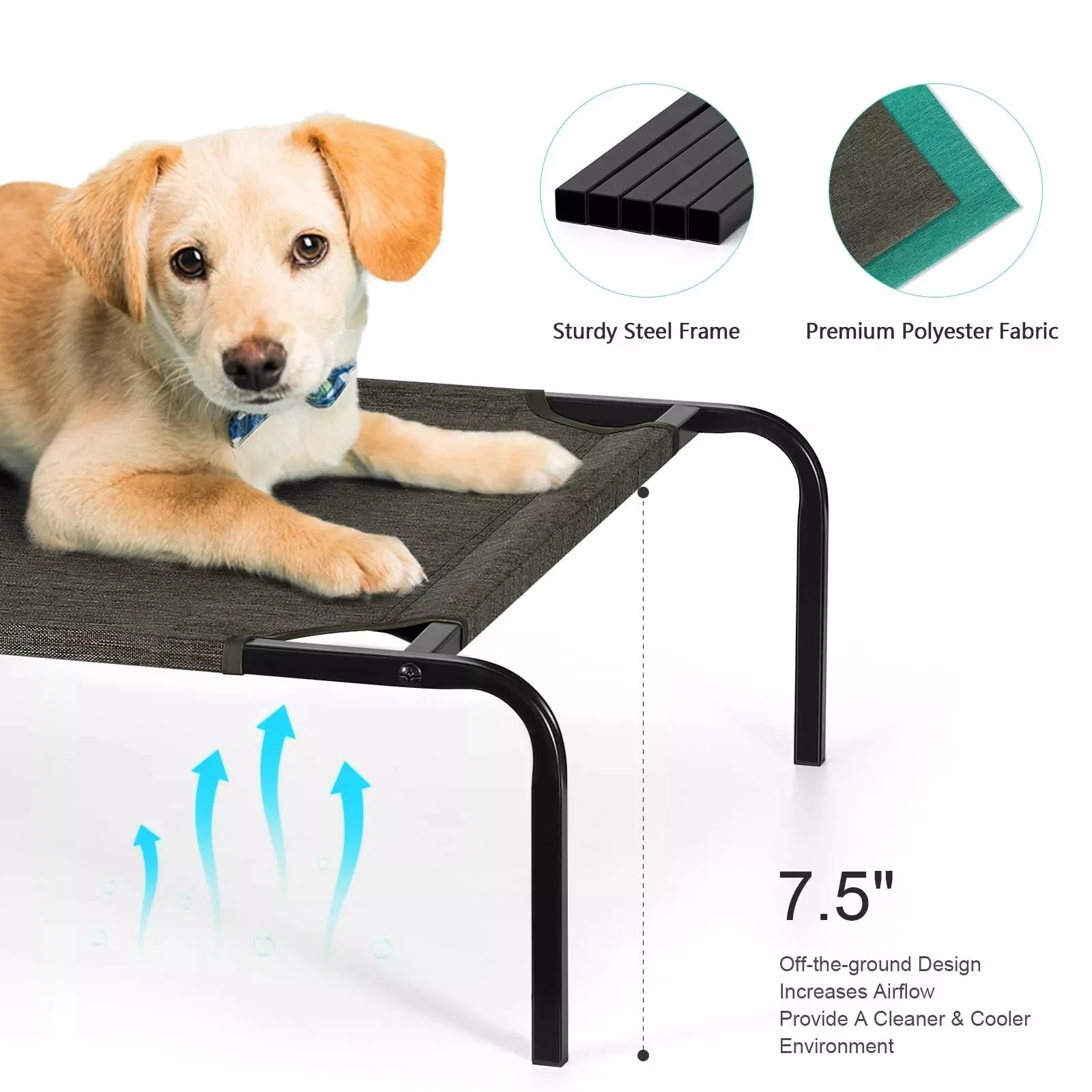 elevated dog bed off the ground and incorporates our self-warming technology Durable tested for strength holds up to 200 pounds