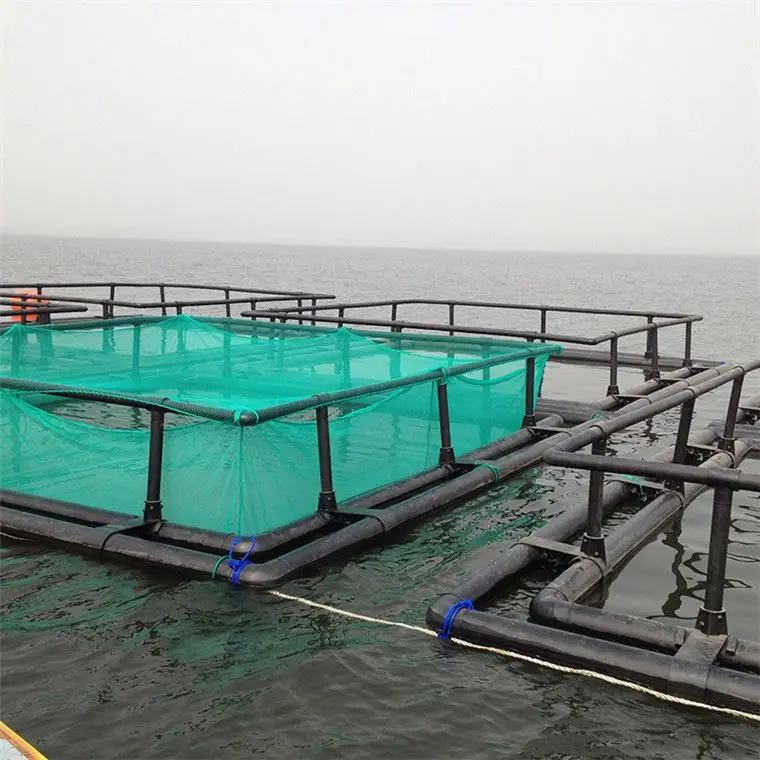 Plastic HDPE square fish cage floating in freshwater