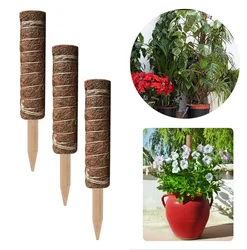 12/16/20/24 Inch Free Sample Coir Stick Coco Black Bulk Cage Clips Cover Extendable Extension Extra Long Moss Pole for Monstera