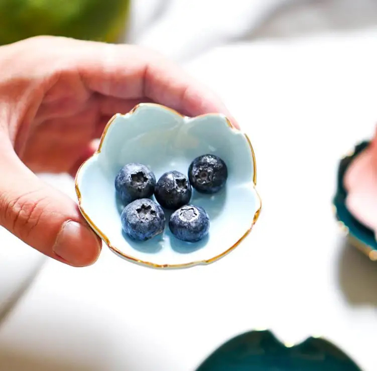 Luxury round Sakura Plate Bowl Set Cherry Blossom Vinegar Soy Sauce Dishes Floral Ceramic Seasoning Dipping for Home Kitchen Use