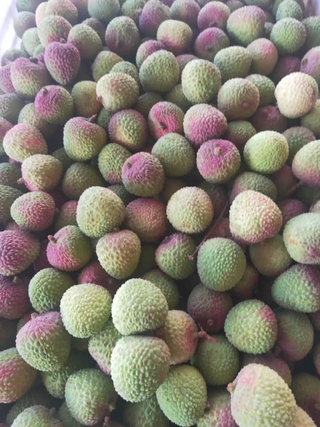 
Fresh Lychee for saling 