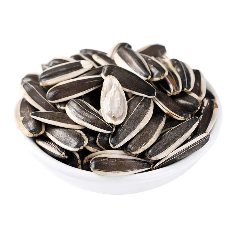 New crop organic big sunflower seeds 363 export with best price in bulk