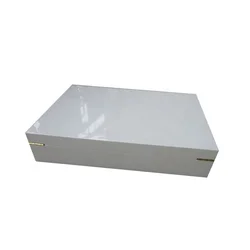 White Piano Lacquer Wooden Box YIXING3800