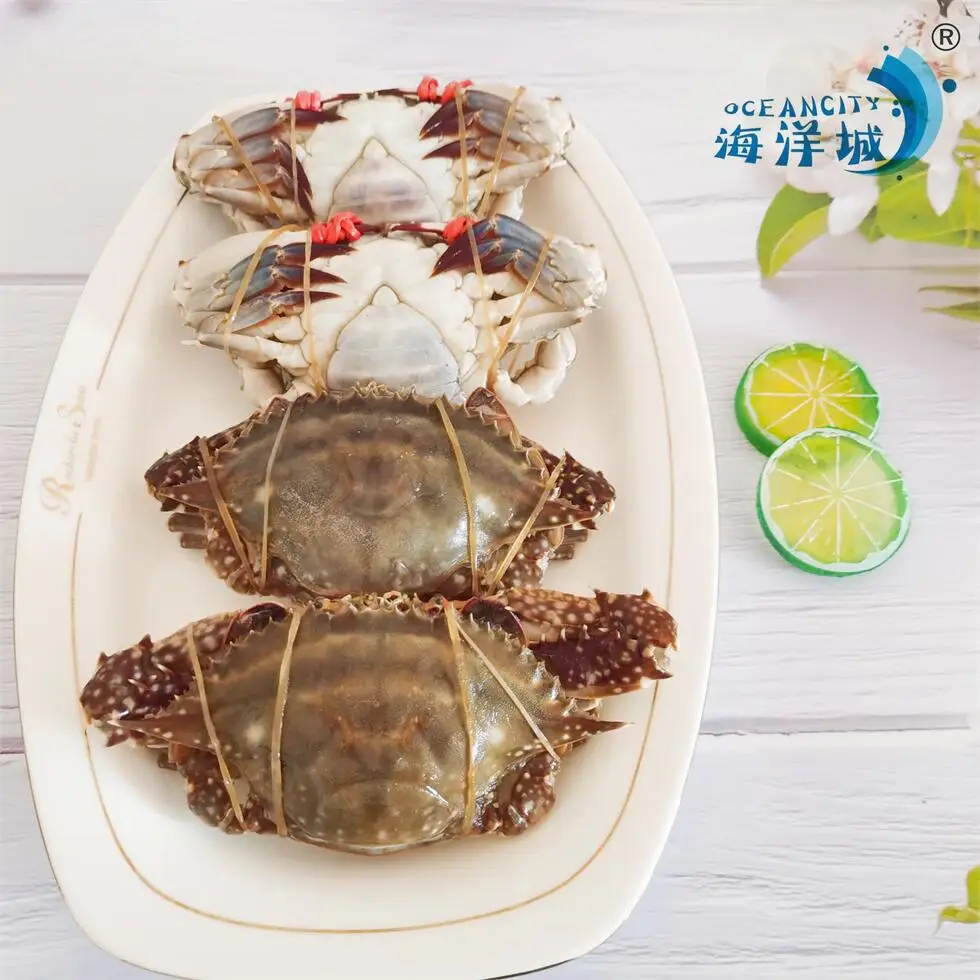 natural Fresh Frozen Seafood Swimming Crab Live Crabs Quick Freezing at -40