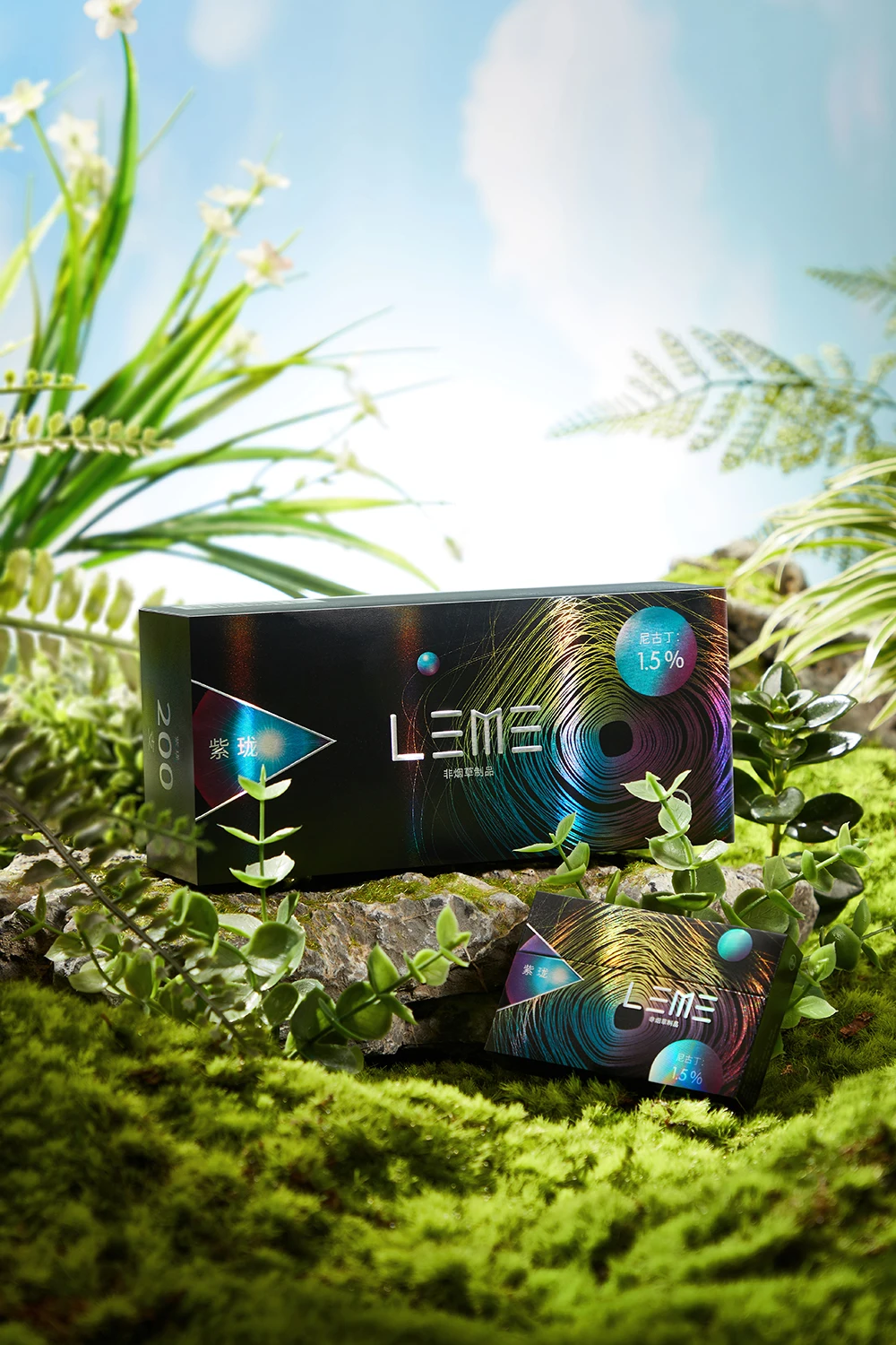 LEME blueberry sticks
