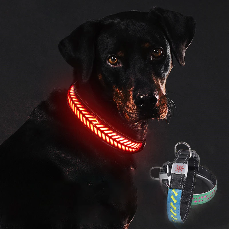 Top Seller Led Dog Leash Usb Glowing In Dark Led Dog Leash Dog Choke Collars Night Light Pet Collar