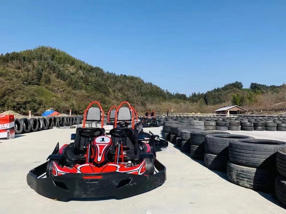 High Speed Electric Athletic 3000w 72v Double Seat Go Karts Go Kart Car Racing Games Go Karting for Adult