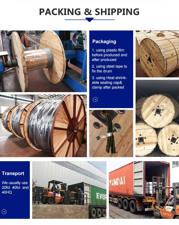 Ali-Cable AAC ACSR Aluminum Conductor Steel Reinforced Overhead Bare Conductor Armoured Cable Wires