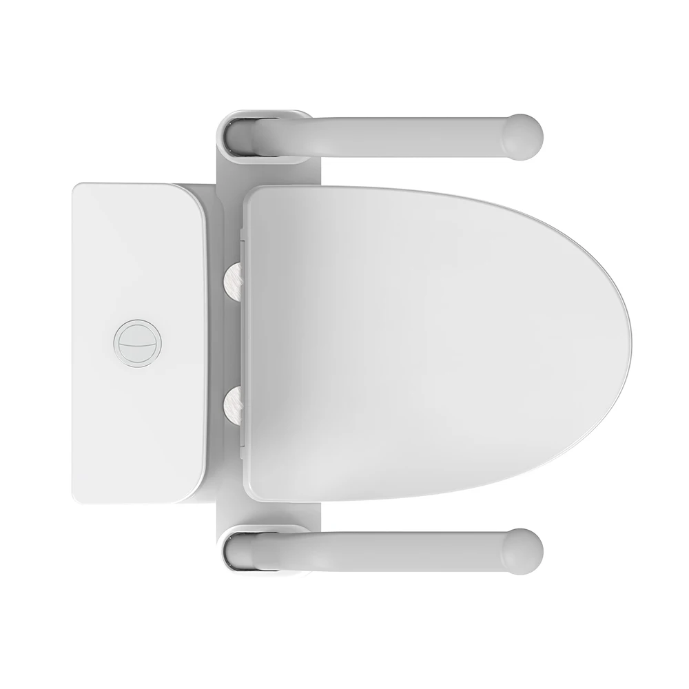Handrail Bars Disabled Bathroom Handicap Toilet for Home and Hotel Toilet