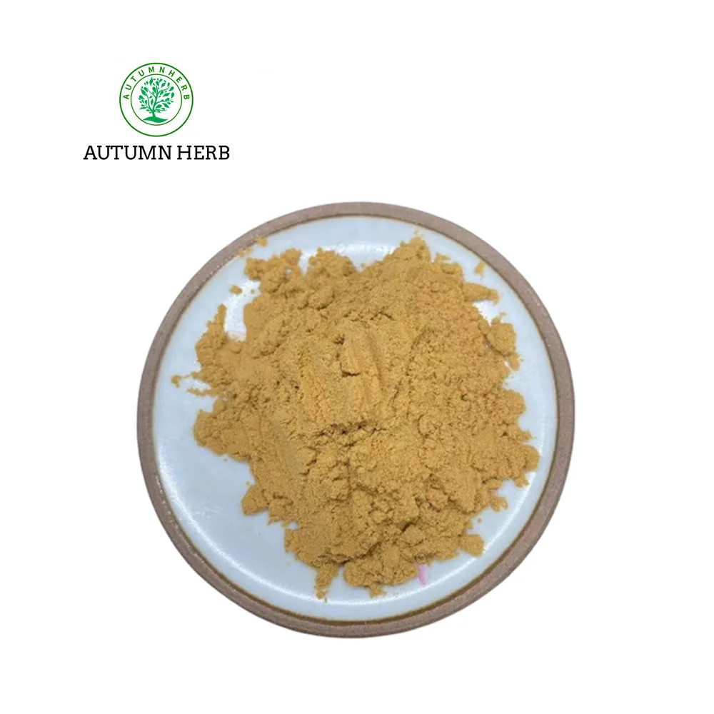 Autumn Herb Plant Extract Antrodia Camphorata Extract