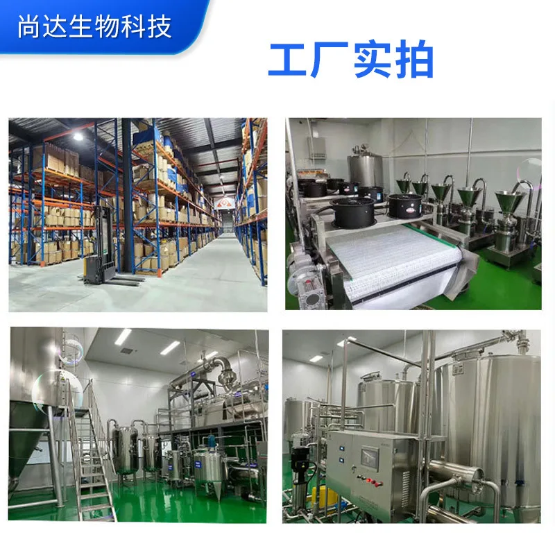 Hot Selling Plant Extract 10:1 Artichoke Extract Powder Cynara Scolymus Extract With Reliable Quality