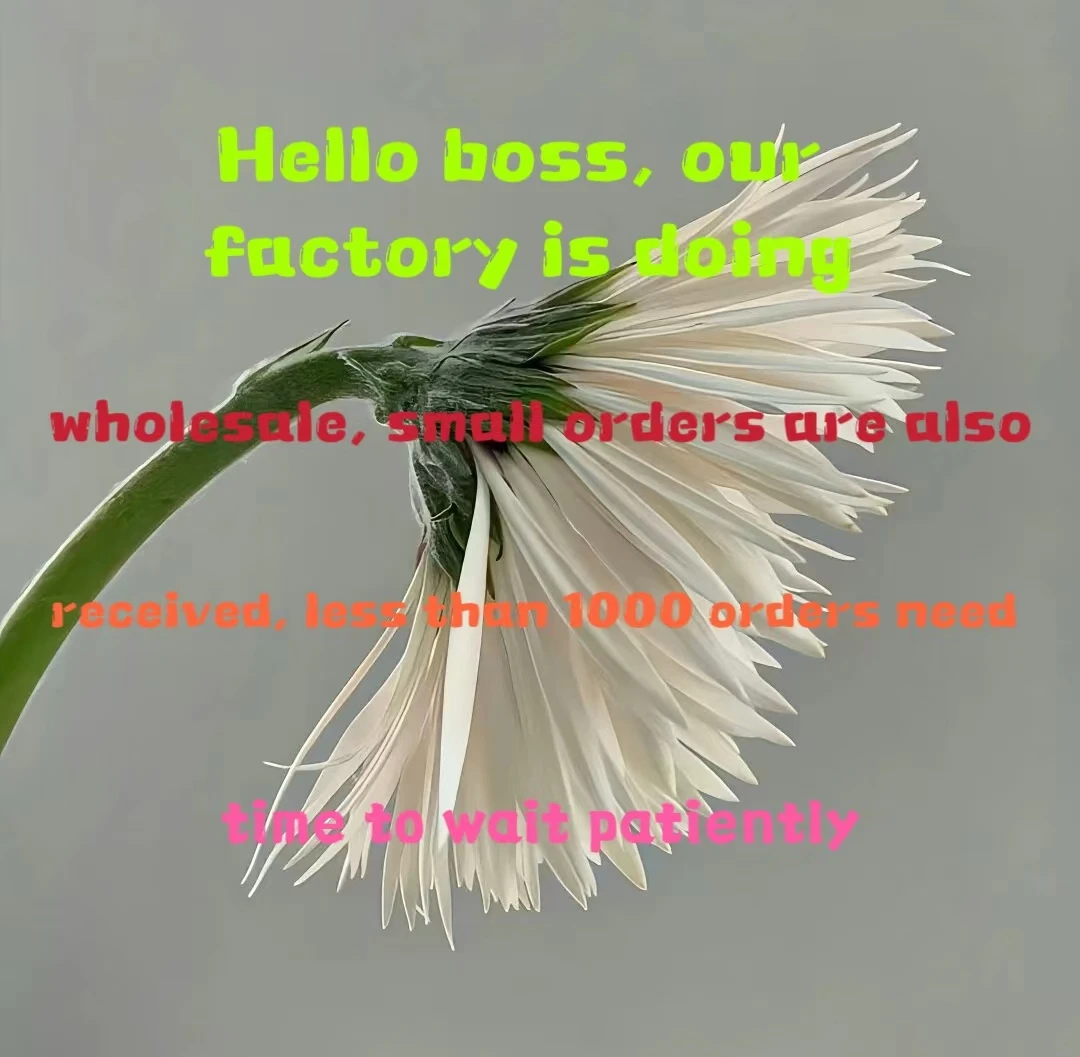 Kids Sport Shoes Casual Fitness & Walking Leather Upper with Rubber Insole & Back School Walking Net Cloth Features